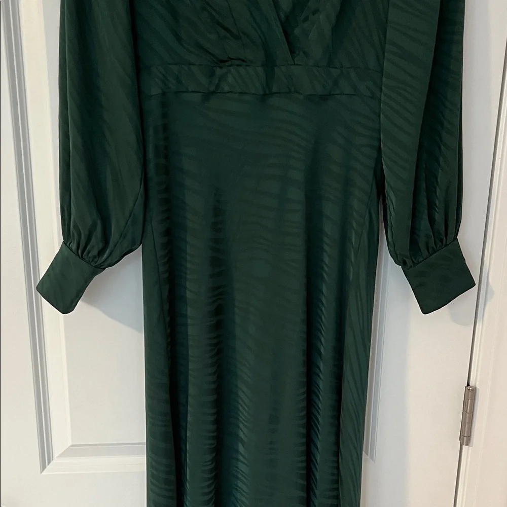 Ronny Kobo Collection Deep Green Long Sleeve Dress M animal print